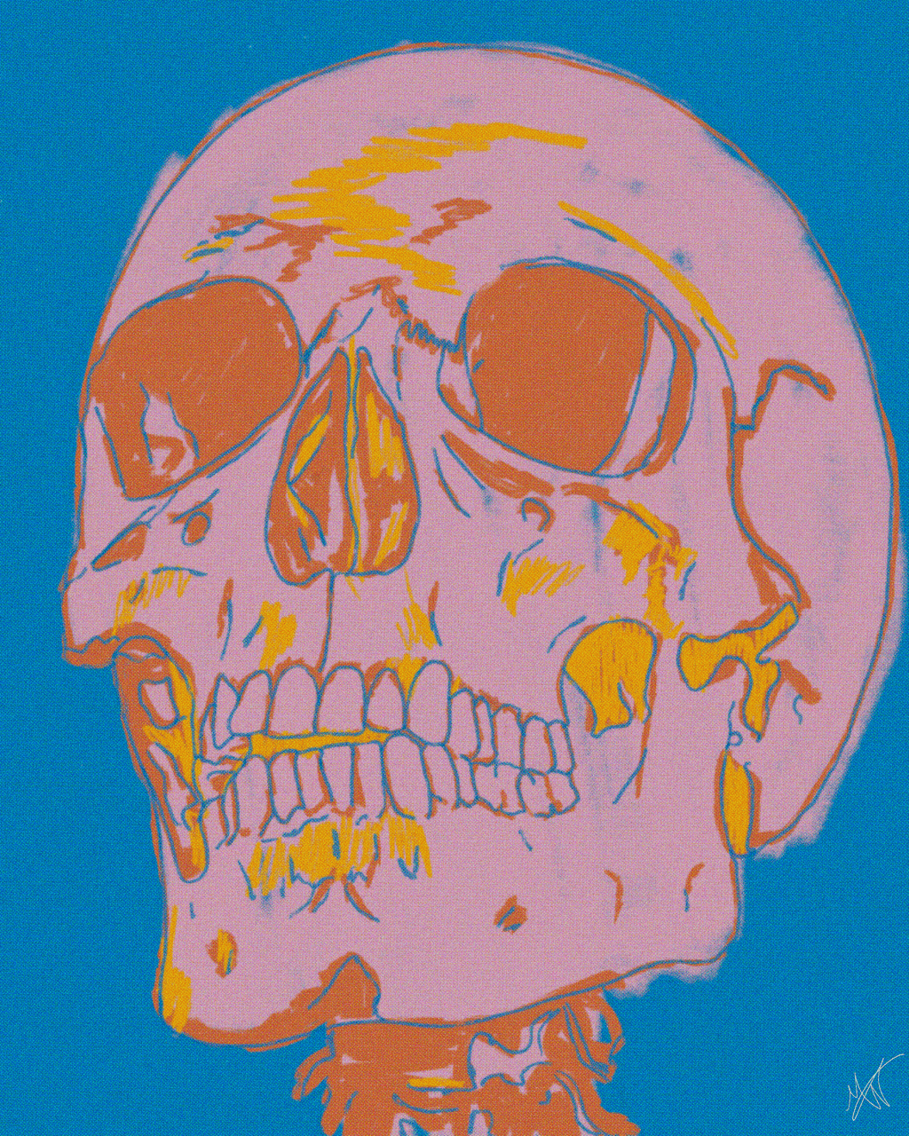 pink and orange skull on blue background