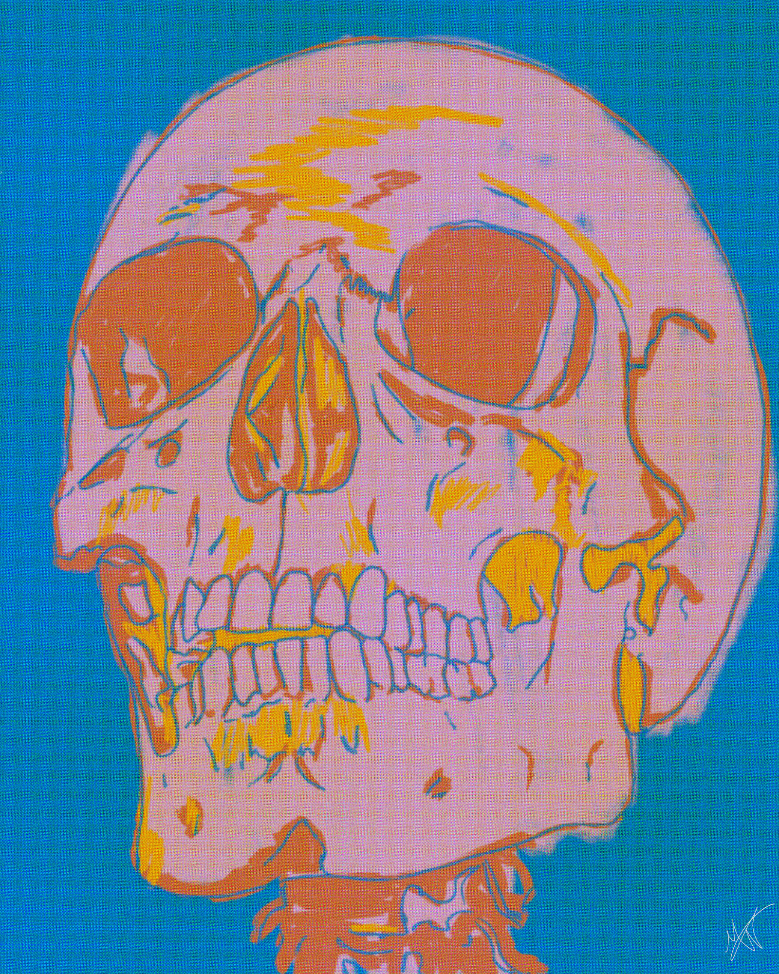 pink and orange skull on blue background