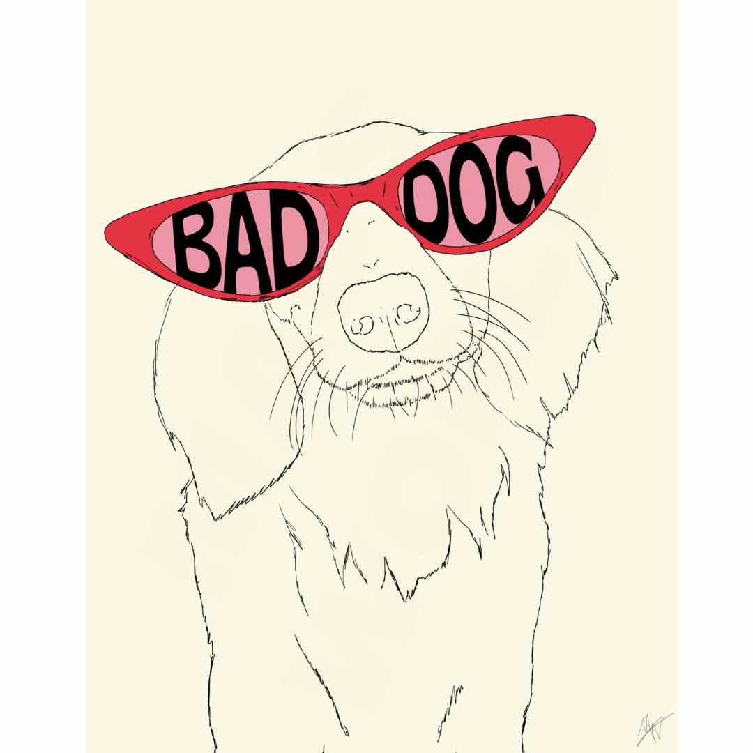 Dog with red sunglasses