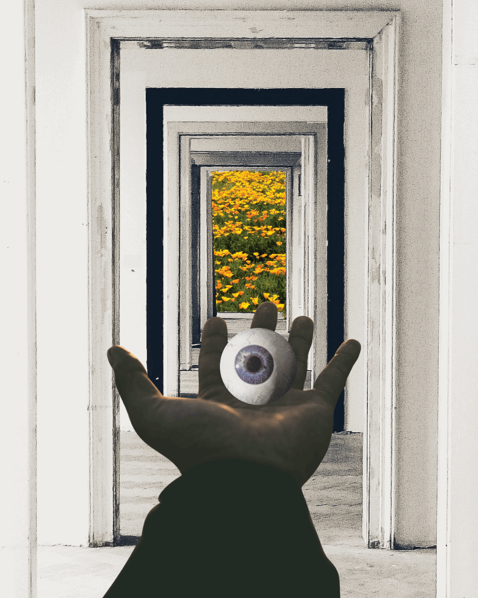 The Looking Glass Surreal Collage